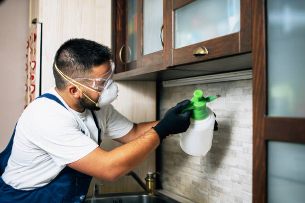 Best Ant Control Services  in Mishicot, WI