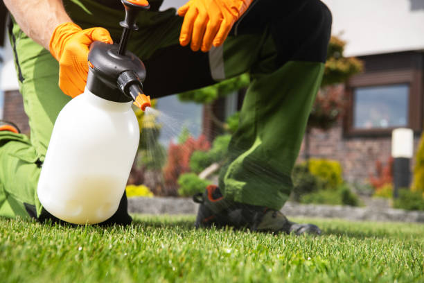 Best Commercial Pest Control Services  in Mishicot, WI