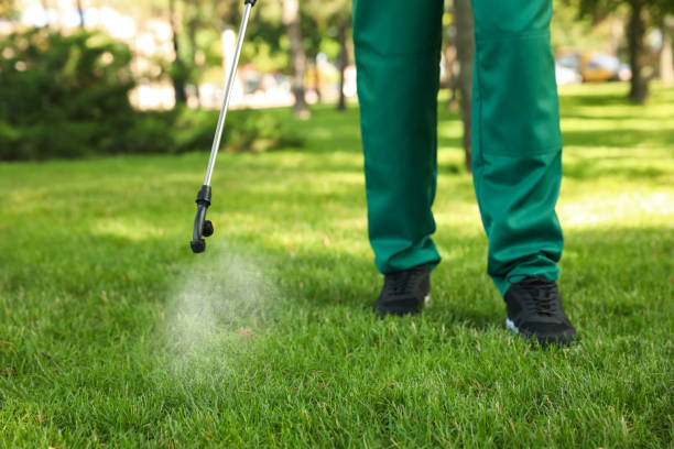 Reliable Mishicot, WI Pest Control Solutions
