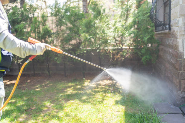 Best Affordable Pest Control Services  in Mishicot, WI