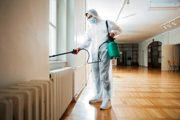 Best Termite Control Services  in Mishicot, WI