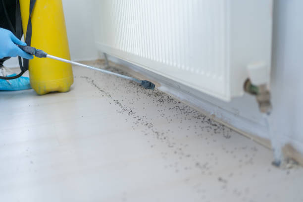 Best Cockroach Control Services  in Mishicot, WI