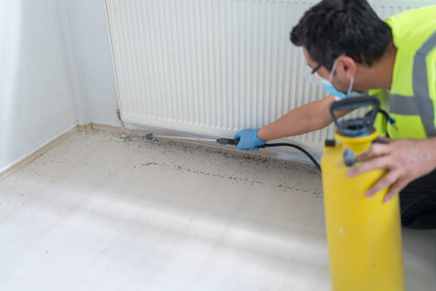 Best Termite Control Services  in Mishicot, WI